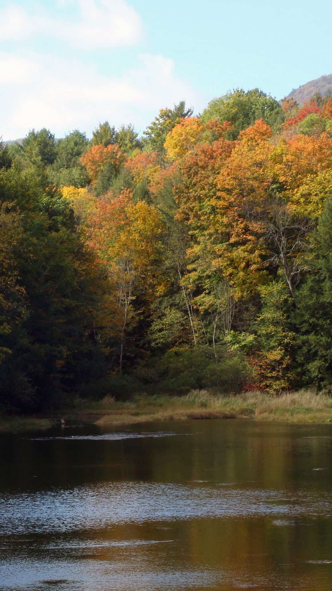Autumn Trees With A Lake - Maple - HD Wallpaper 