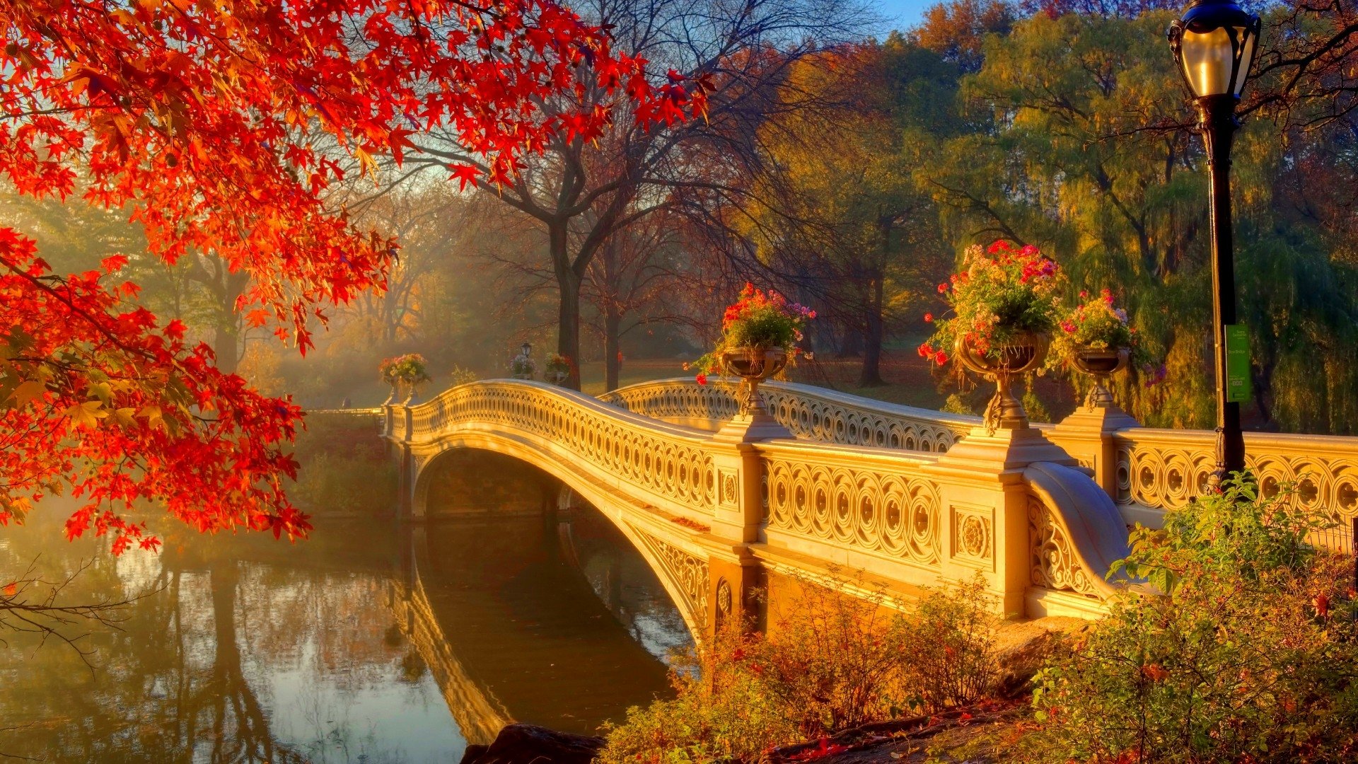 London Hyde Park Autumn - HD Wallpaper 