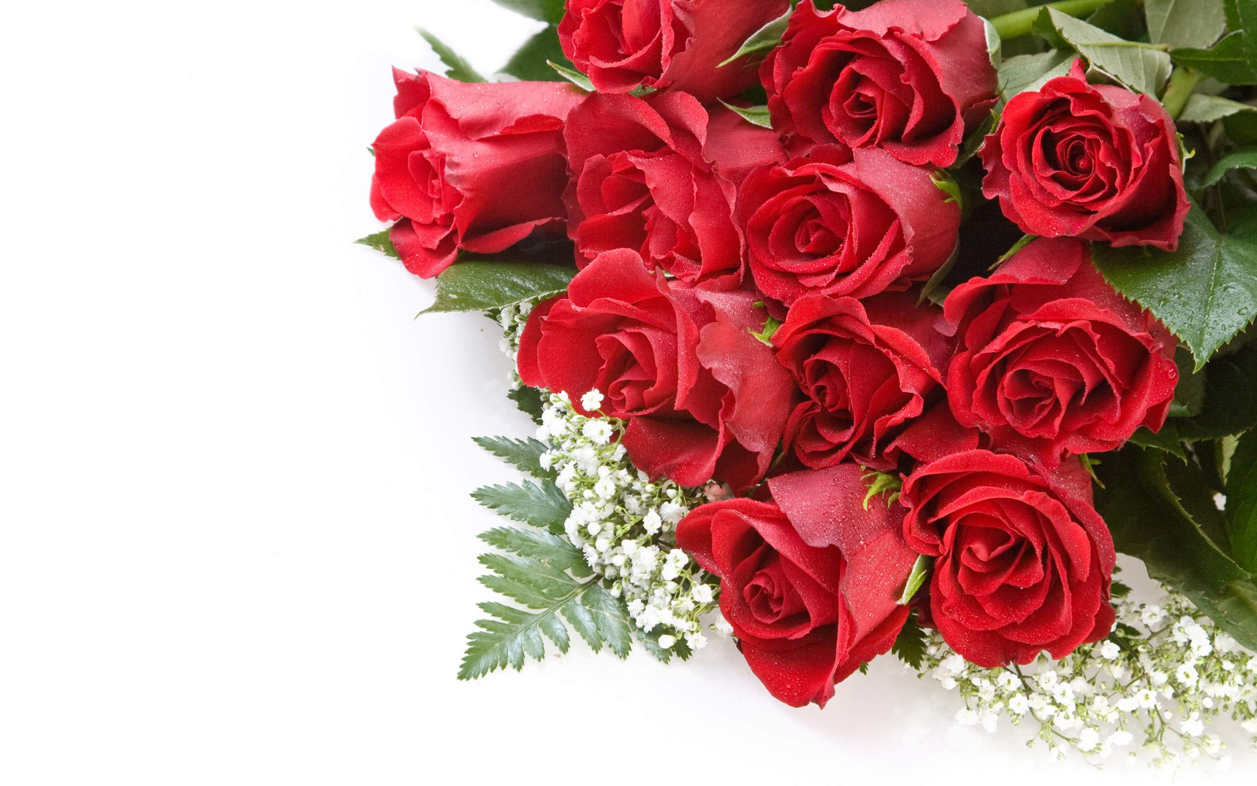 Red Beautiful Birthday Flowers - HD Wallpaper 