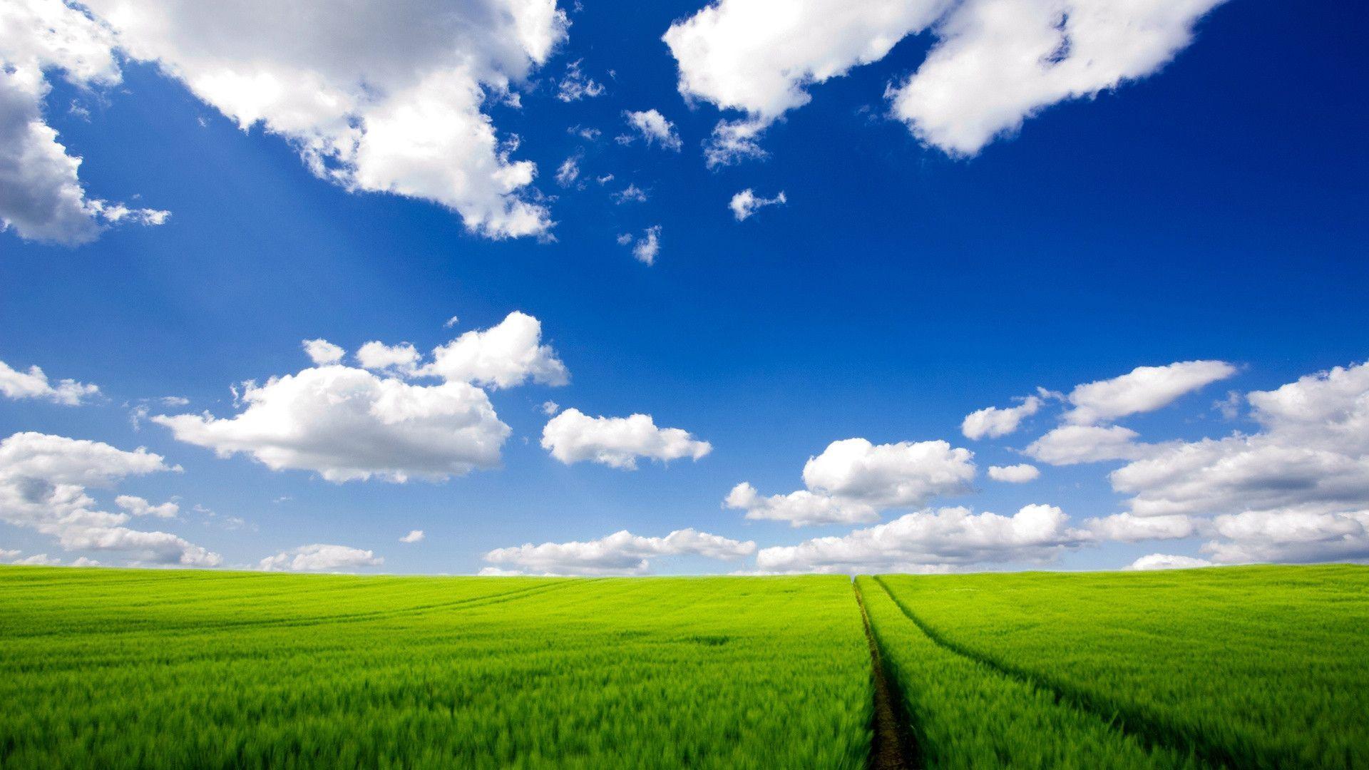 Download 45 Hd Windows Xp Wallpapers For Free - Windows Xp Wallpapers Full Hd - HD Wallpaper 