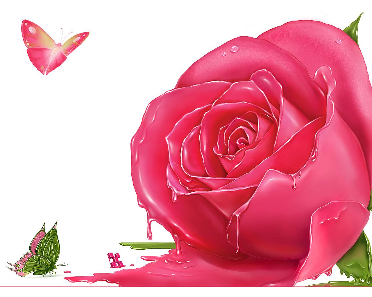 Beautiful Pink Rose Flowers - 1280x1024 Wallpaper 