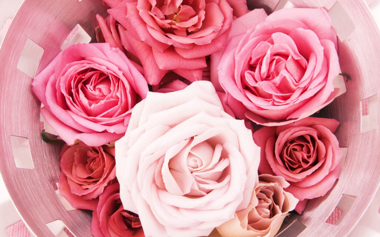Roses - Hd Flower - HD Wallpaper 