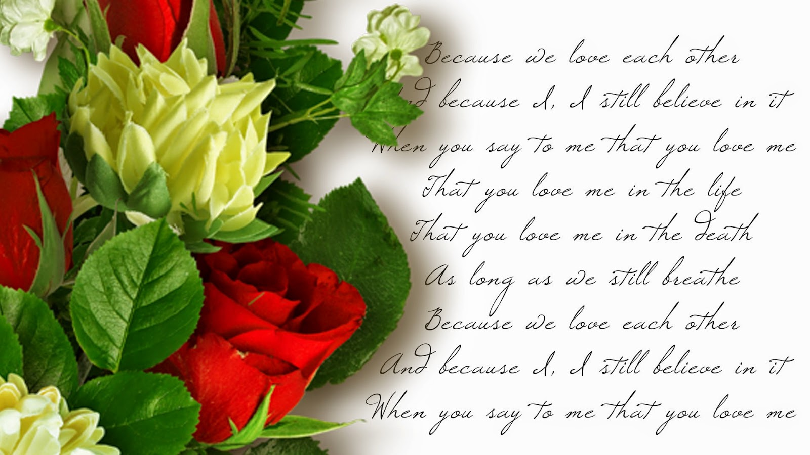 Beautiful Rose Flowers Images Free Download Rose Flower Love Photo Download 1600x900 Wallpaper Teahub Io