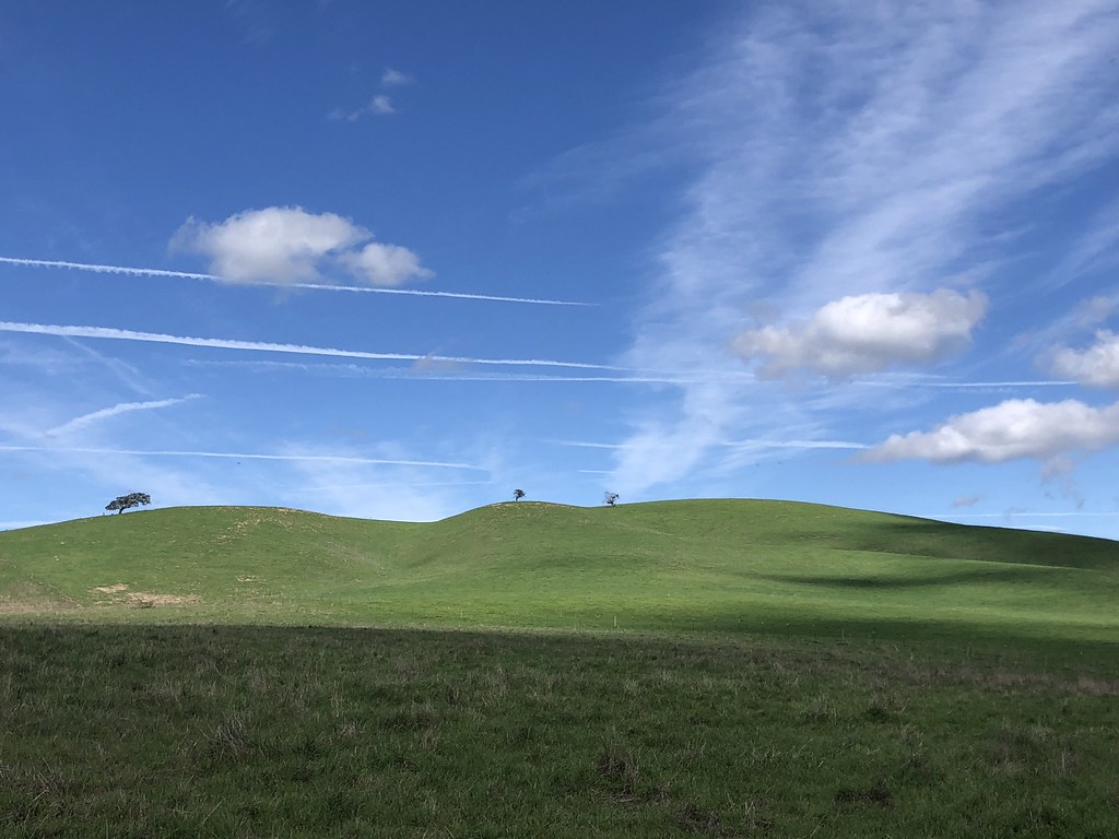 Grassland - HD Wallpaper 