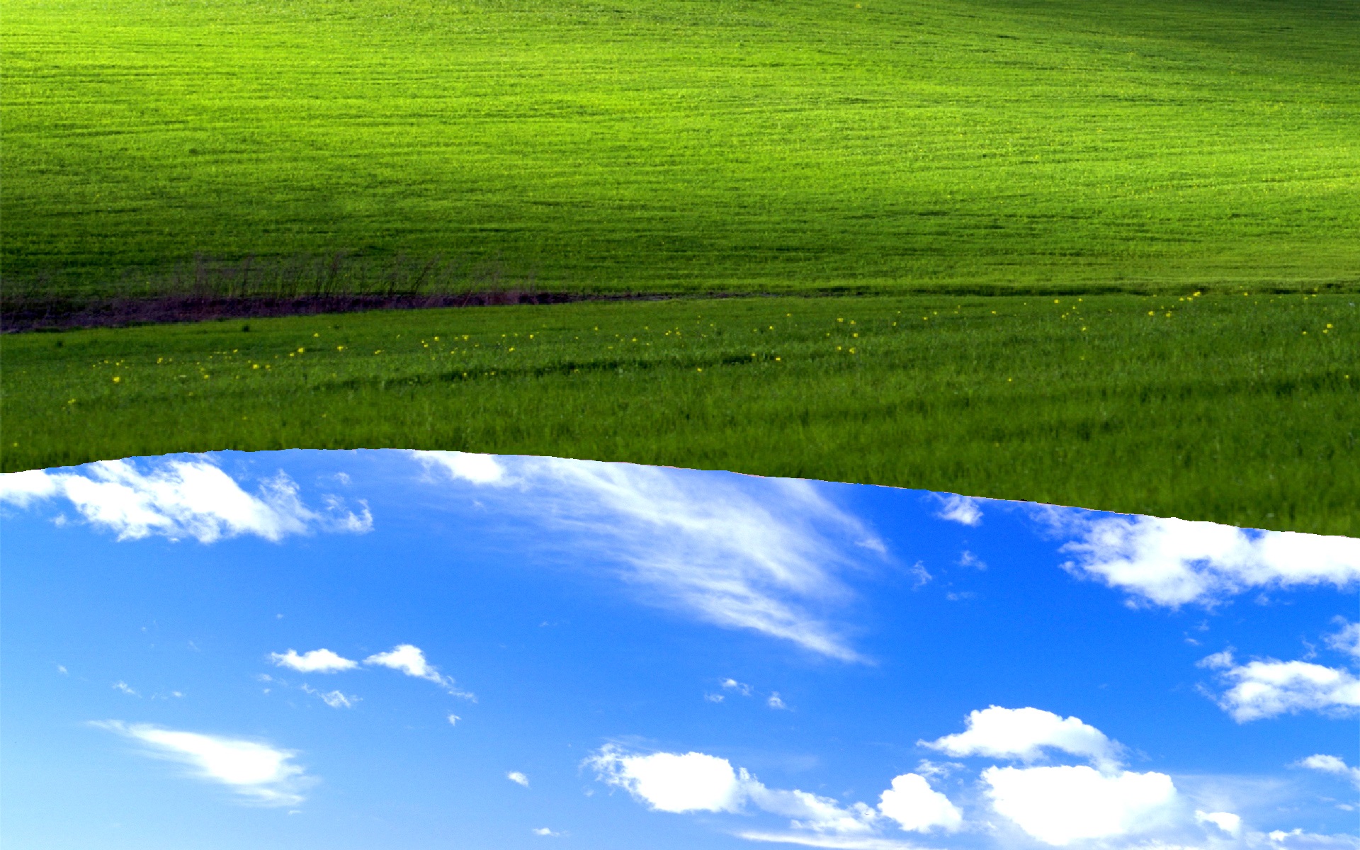 Bliss Grassland Green Sky Nature Field Grass Meadow - Windows Xp Wallpaper 2017 - HD Wallpaper 