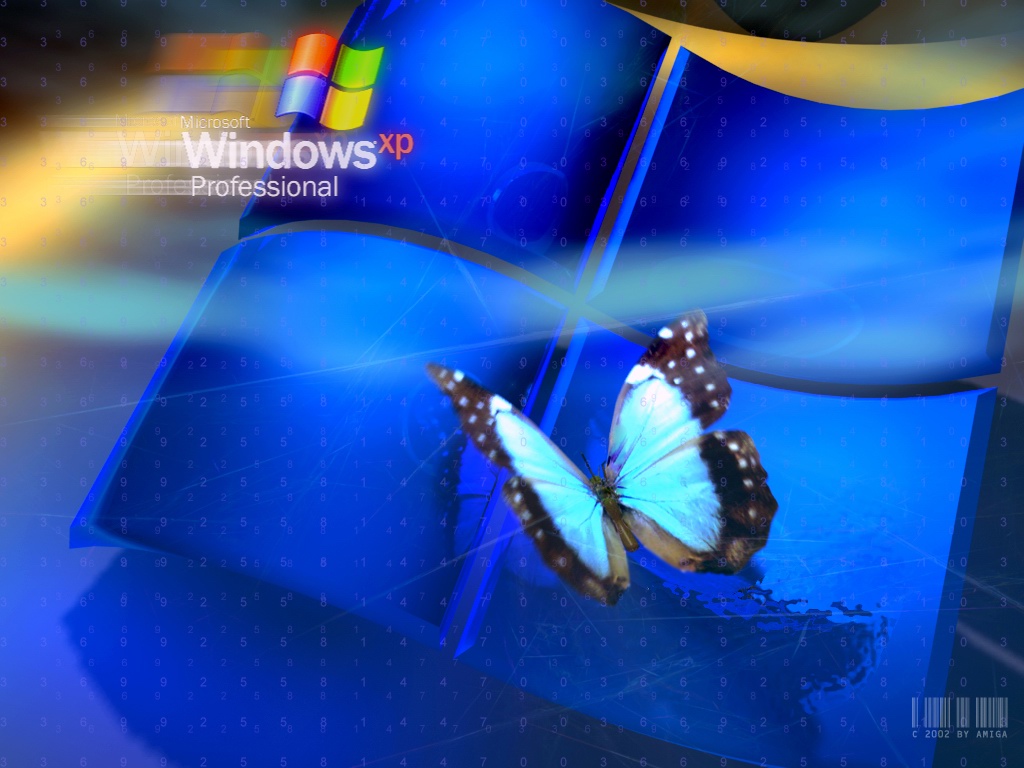 Windows Xp Wallpaper 2010 - HD Wallpaper 