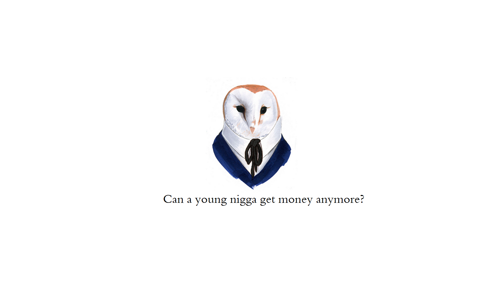 Barn Owl - 1920x1080 Wallpaper - teahub.io