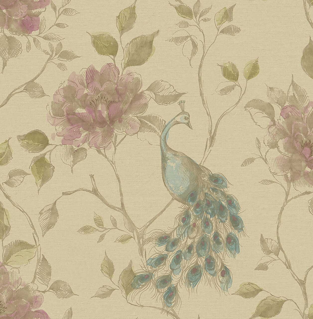 Peacock Beige - HD Wallpaper 