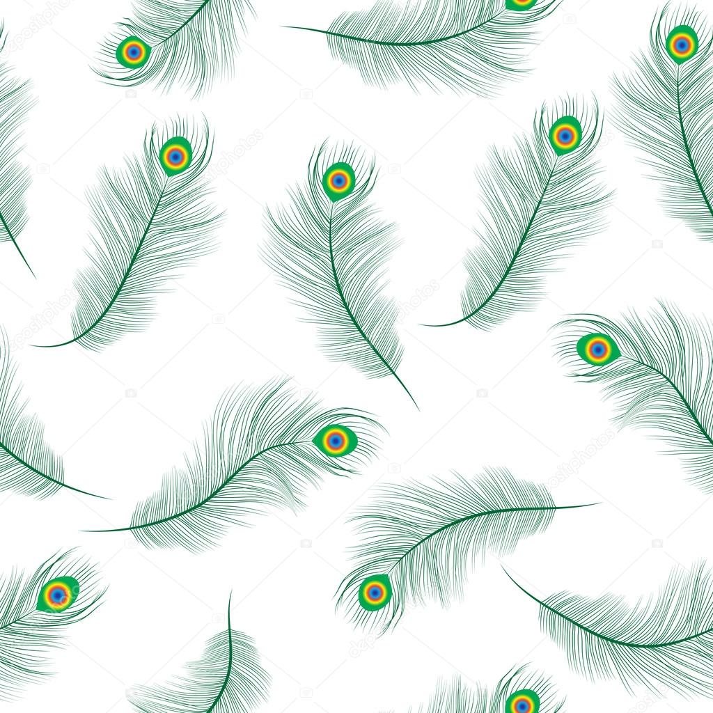 Peacock Feather Background - HD Wallpaper 