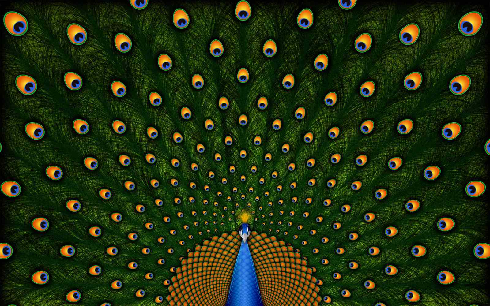 Free Download Peacock Wallpaper - High Resolution Peacock Iphone - HD Wallpaper 