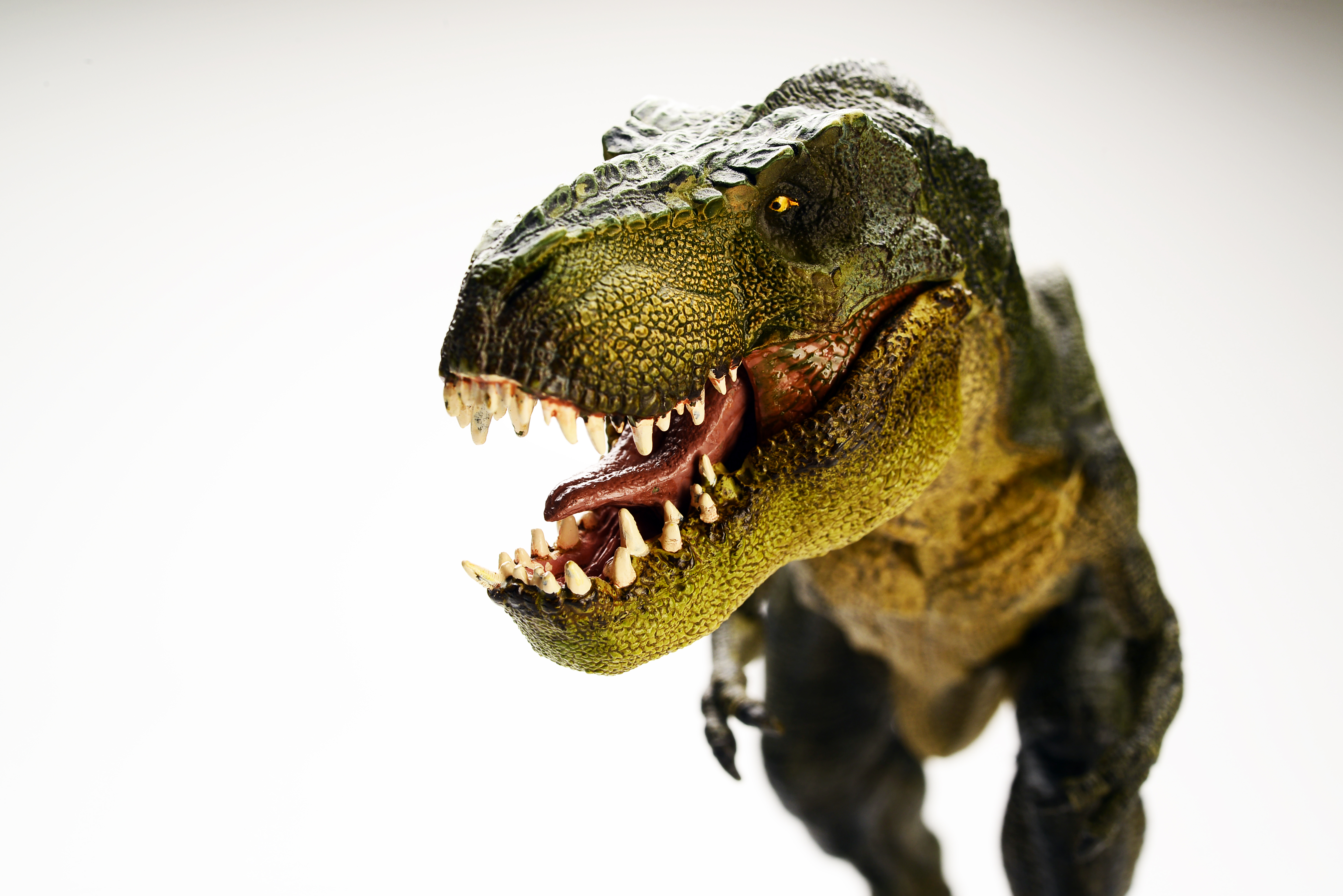 T Rex High Resolution - HD Wallpaper 