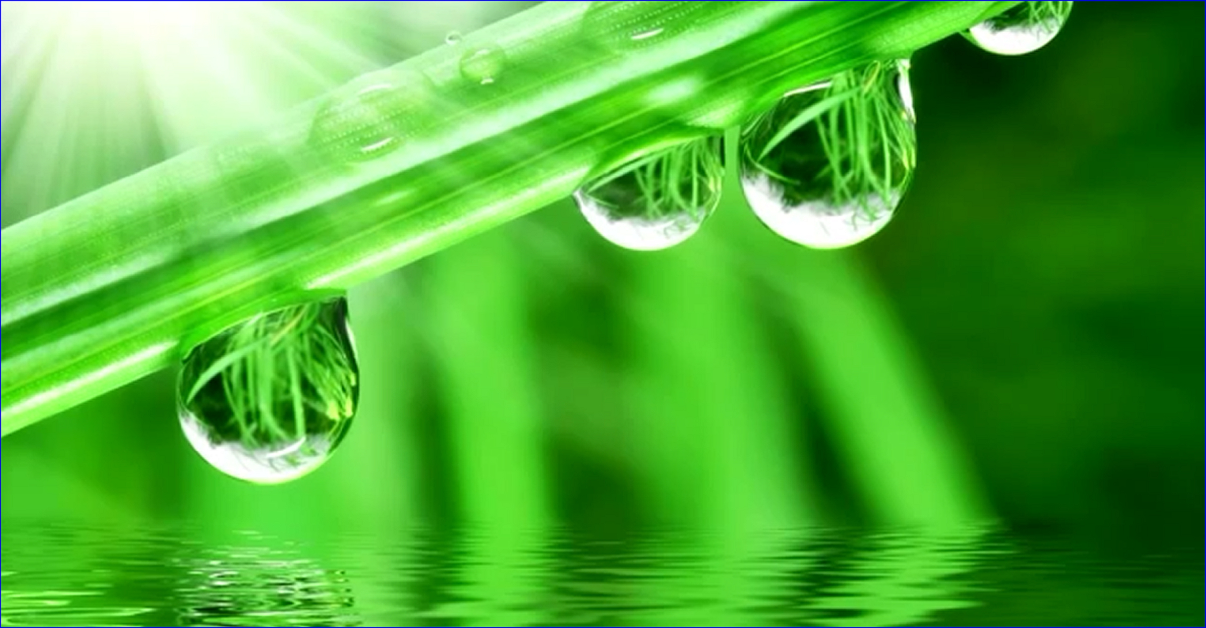 Of Water Wallpaper On Hdwallpapers - Green Background With Water - HD Wallpaper 
