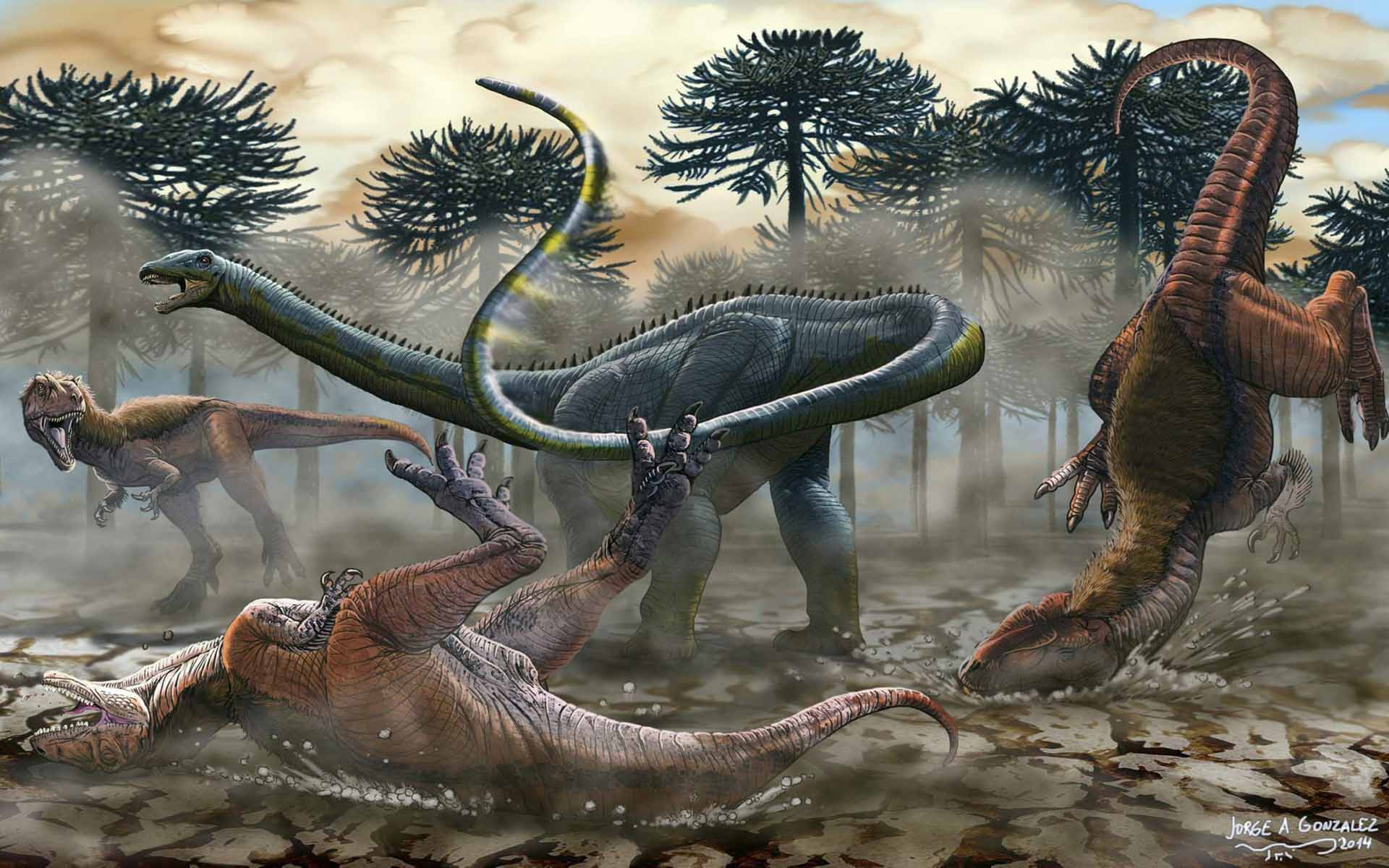 Dinosaur Wallpaper - HD Wallpaper 