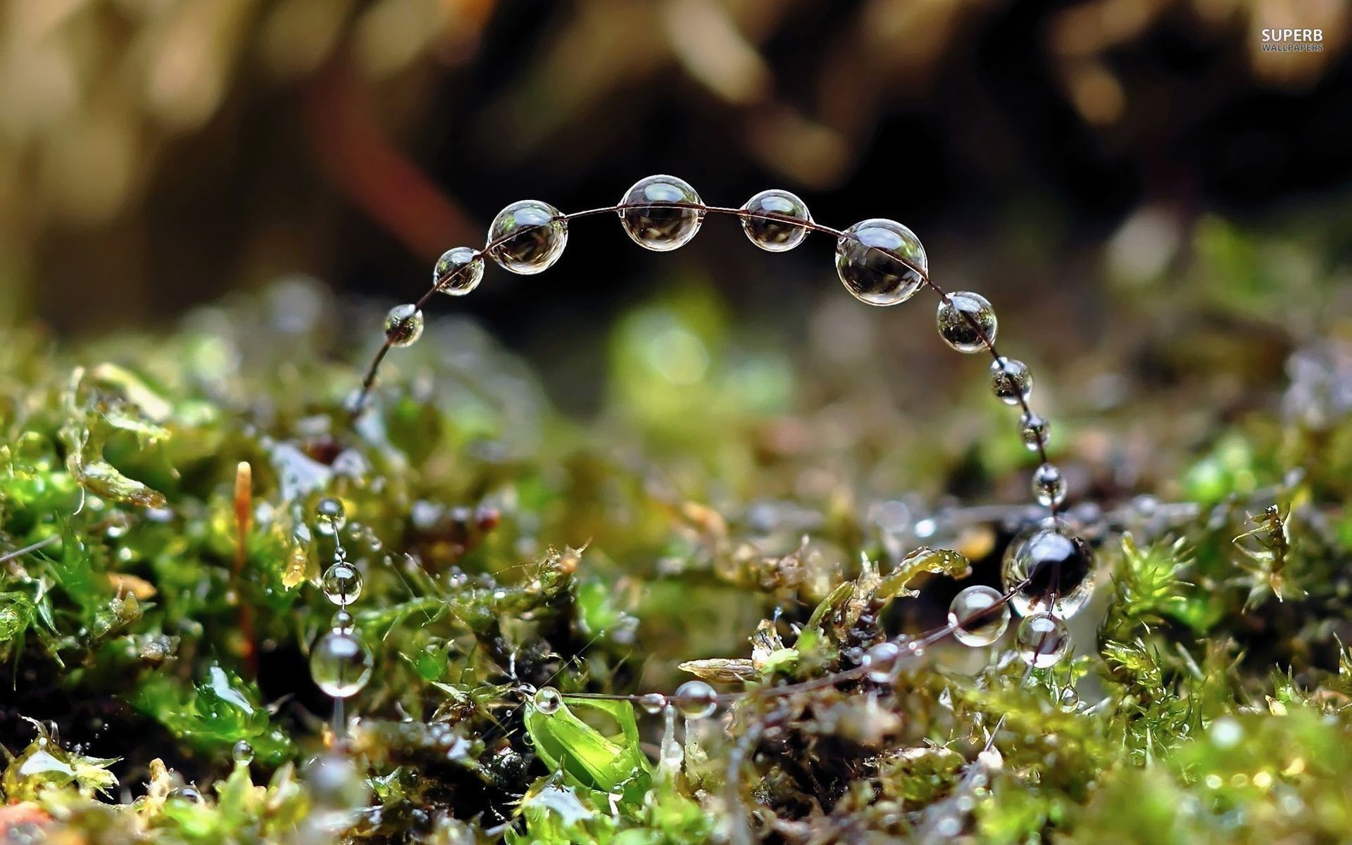 1920x1200, Colorful Water Drops Wallpaper - Beautiful Images Of Rain Drops - HD Wallpaper 