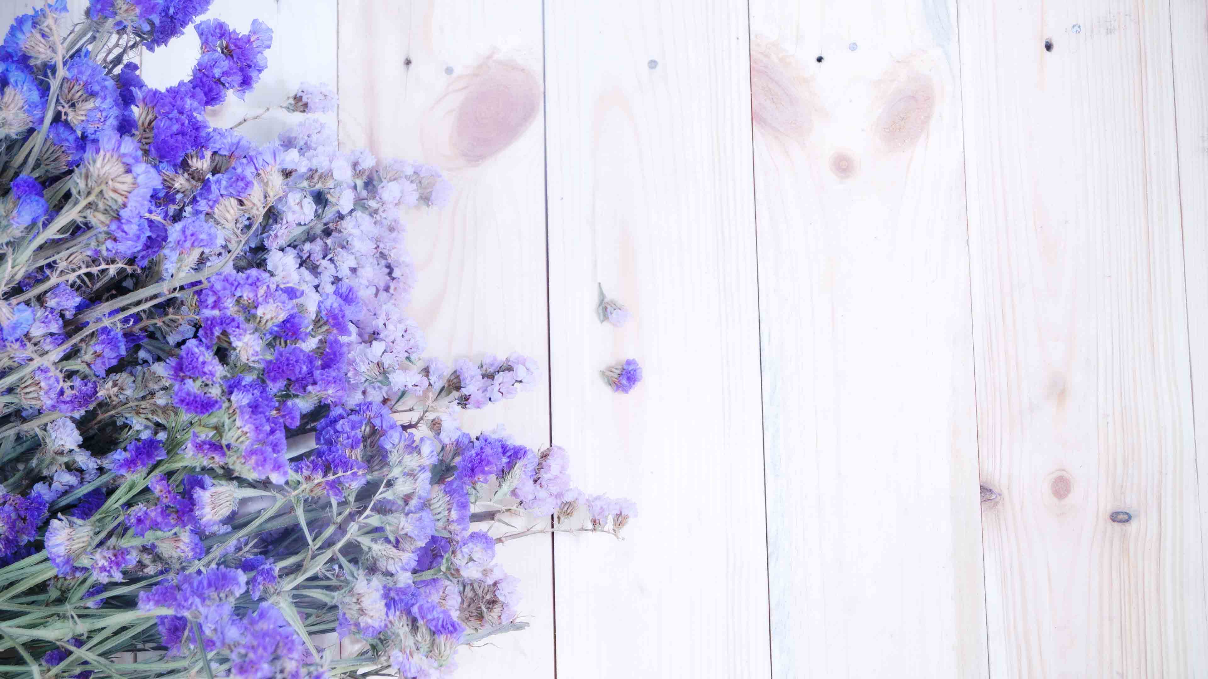 Booly Wood Wallpaper - Lord Is Trustworthy In All His Promises - HD Wallpaper 