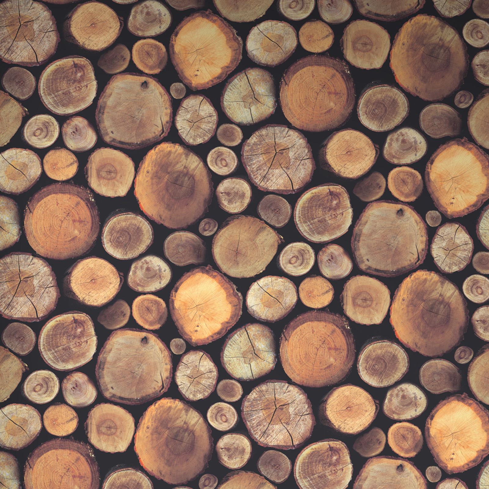Wooden Effect Wallpaper Realistic Feature Wall Thumbnail - Wooden Logs - HD Wallpaper 