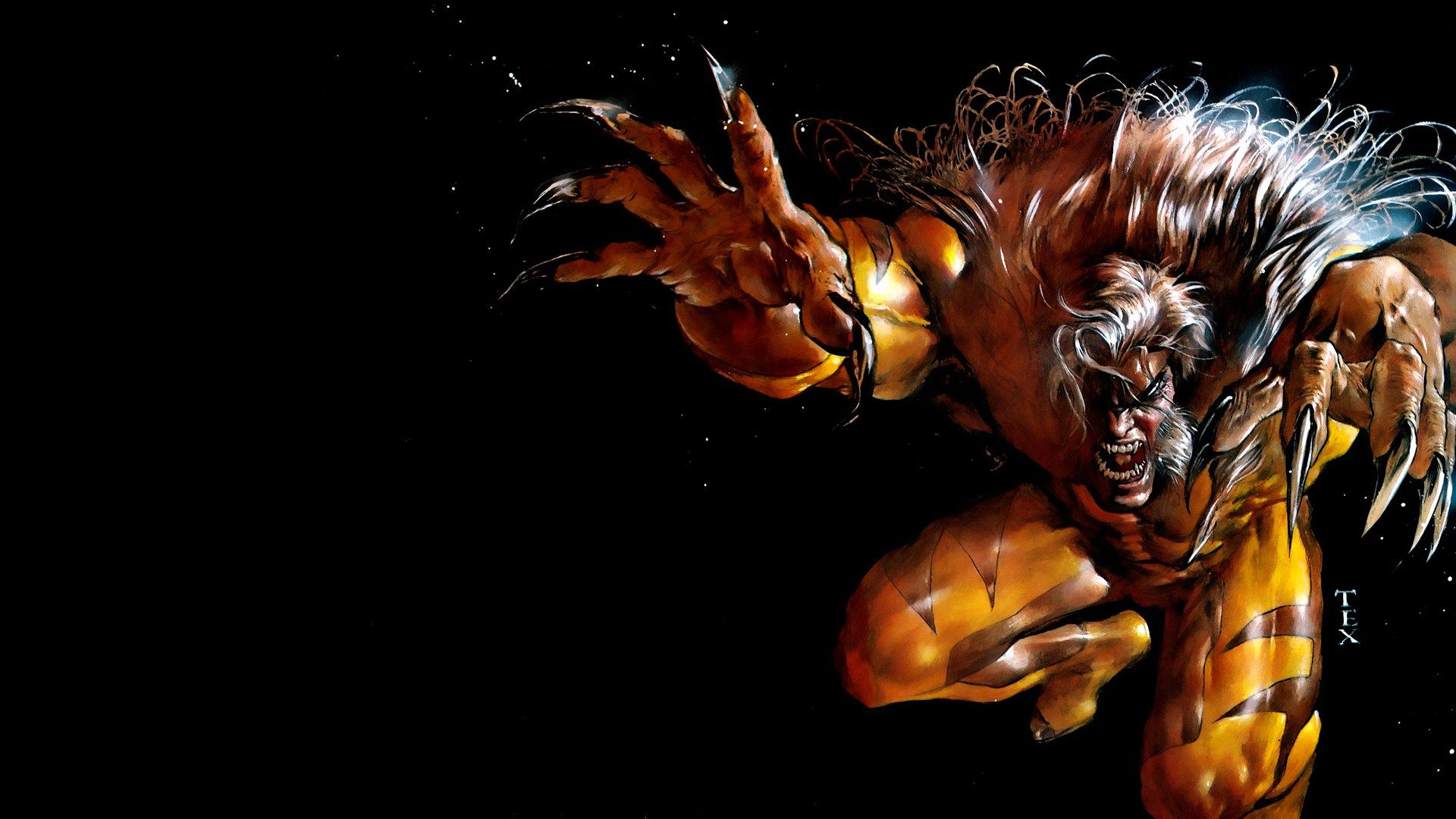 Marvel, Sabretooth, Superhero, X Men Hd Wallpaper & - Sabretooth Marvel - HD Wallpaper 