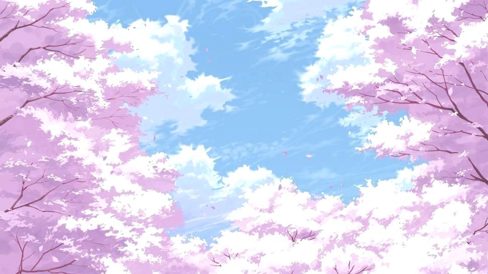 Cherry Blossom Wallpaper Cherry Blossom Flowers Painting - Anime Cherry  Blossom Background - 970x545 Wallpaper 