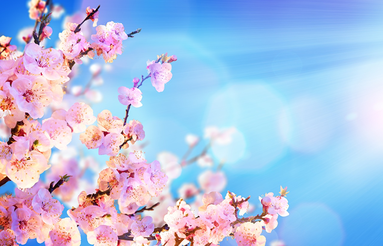 Daylight Savings Time Begins 2019 - HD Wallpaper 