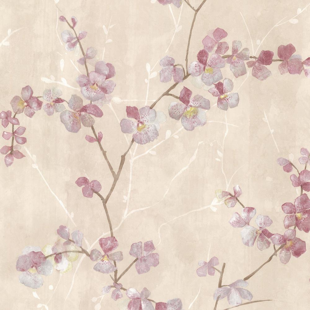 Chapman Cherry Blossom Trail - HD Wallpaper 