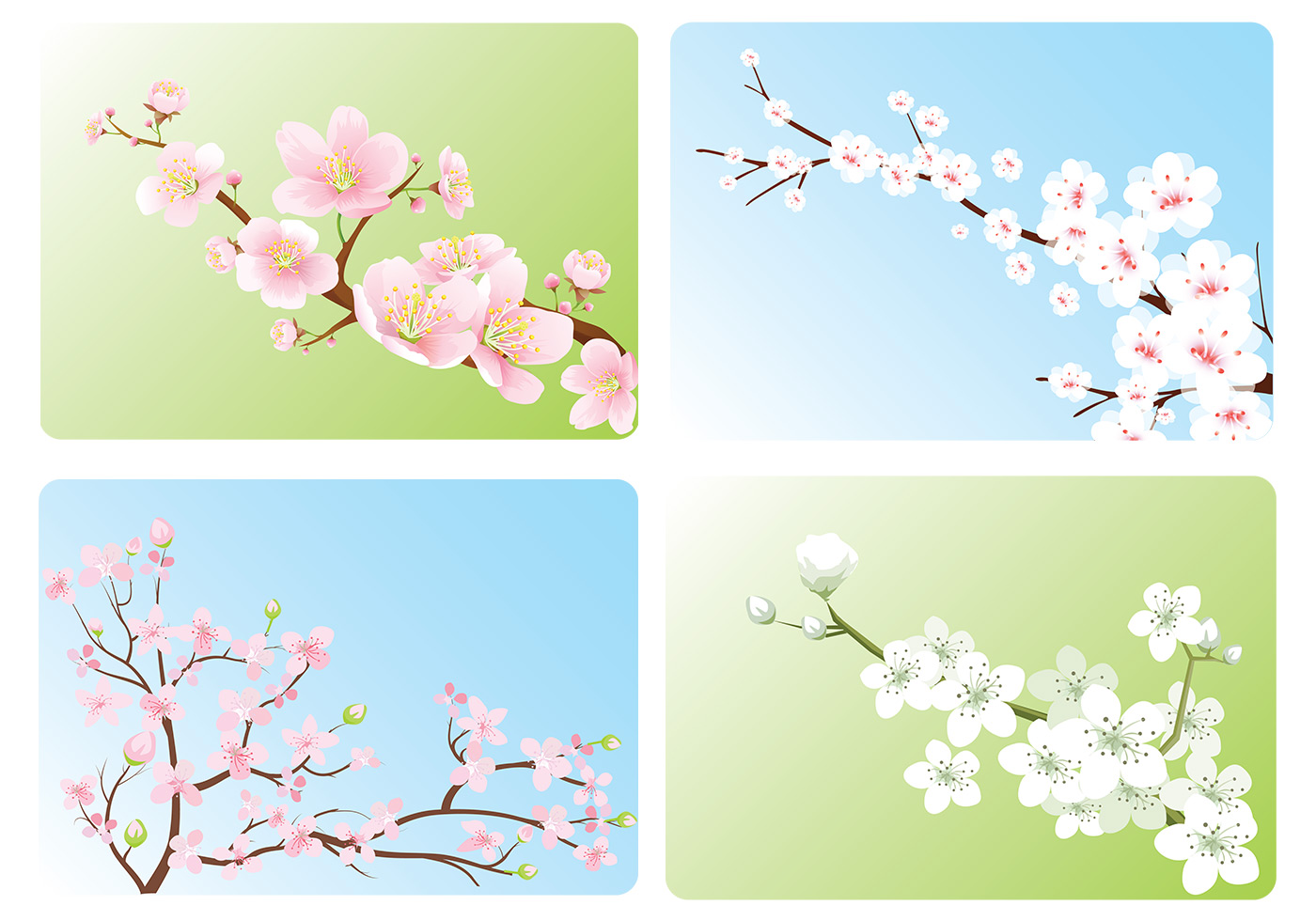 Cherry Blossom Wallpaper Pack - Cherry Blossom Wallpaper Vector - HD Wallpaper 