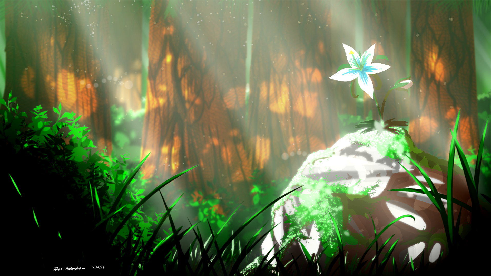 Flower - HD Wallpaper 