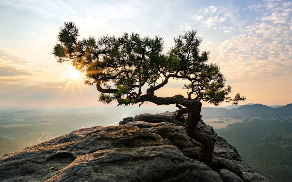 Lilienstein - HD Wallpaper 