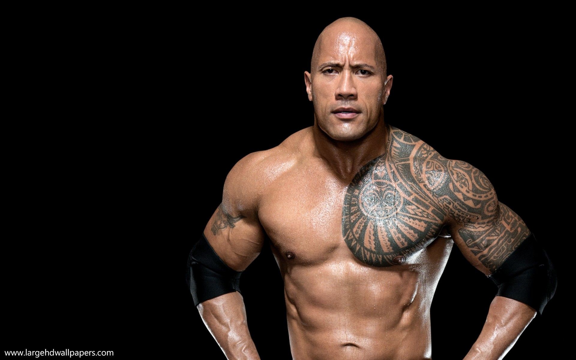 The Rock Hd Wallpapers Free Download - Rock Wwe - HD Wallpaper 