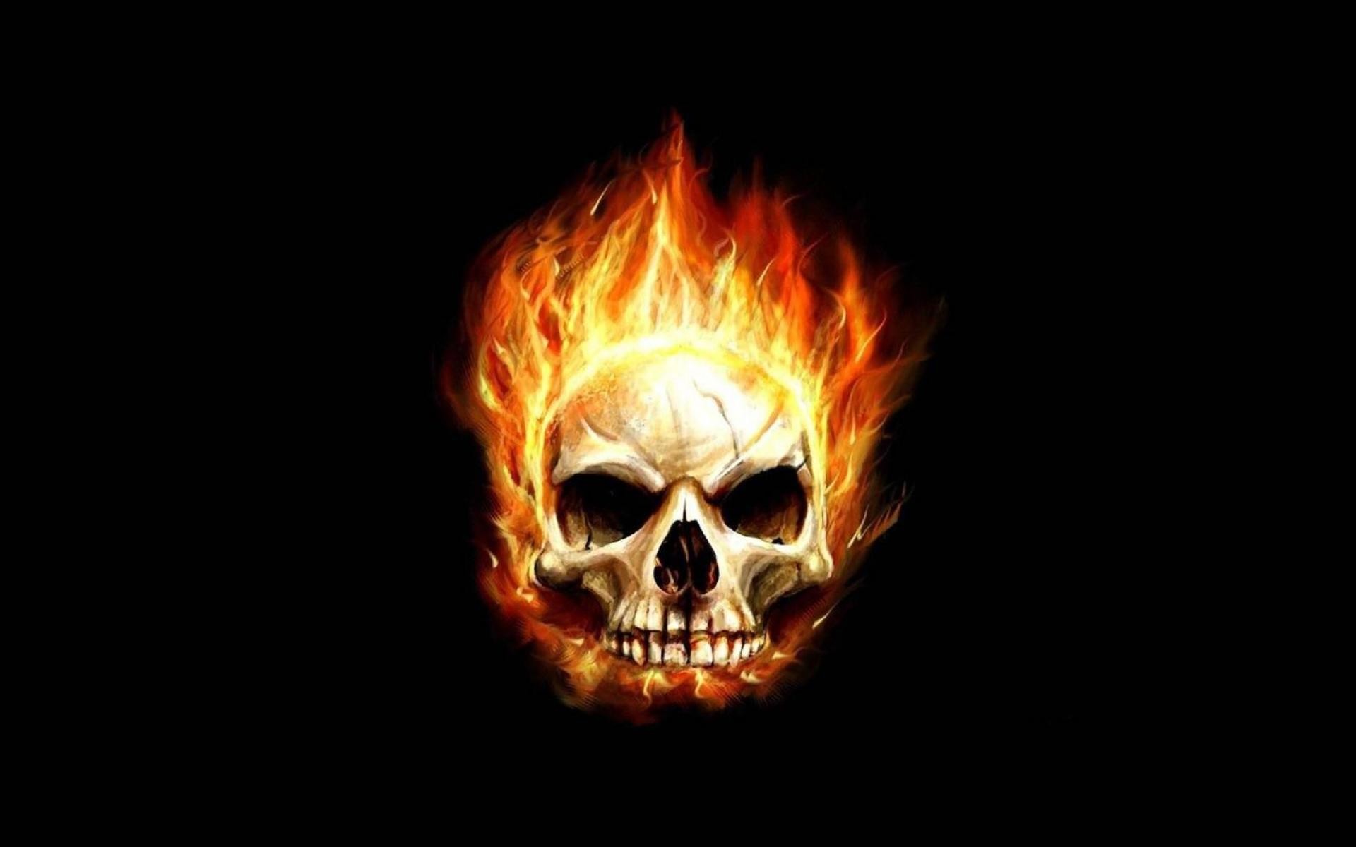 Most Downloaded Fire Skull Wallpapers - Skull In Fire Background -  1920x1200 Wallpaper 