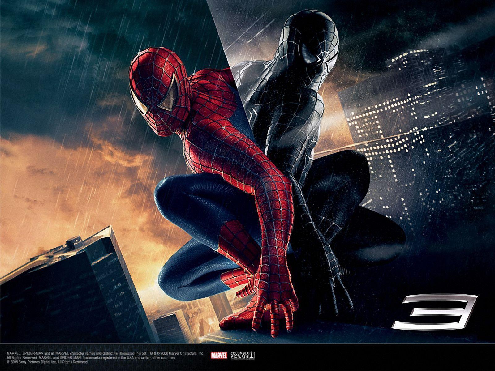Spiderman Wallpapers Hd - Spiderman Wallpaper Hd - HD Wallpaper 