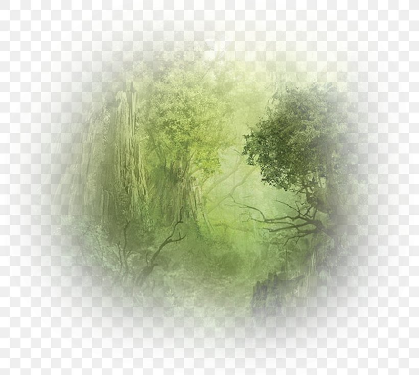 Landscape Desktop Wallpaper Fashion Photography Photographer, - Circle - HD Wallpaper 