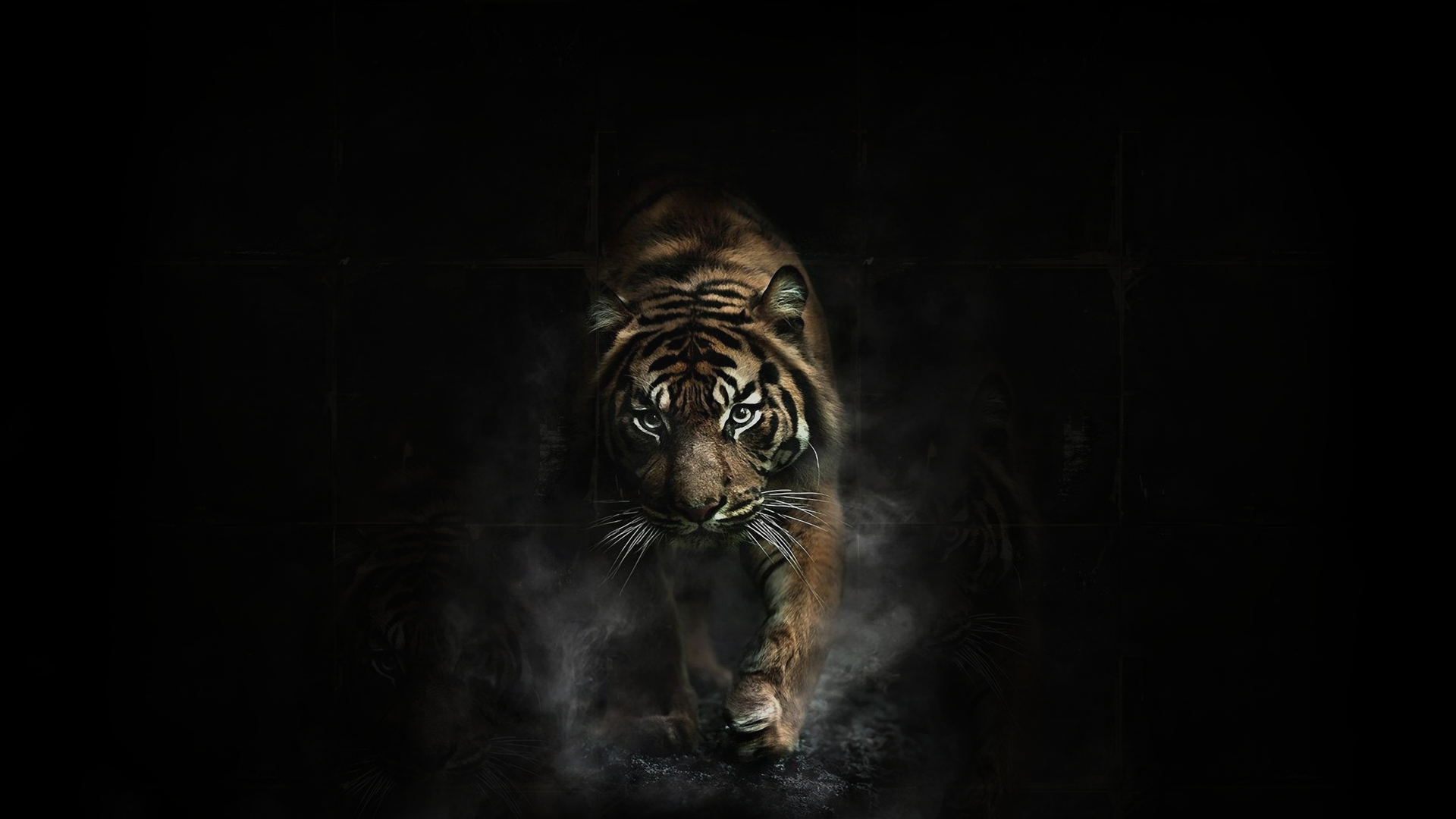 Dark Tiger Wallpaper Hd - HD Wallpaper 