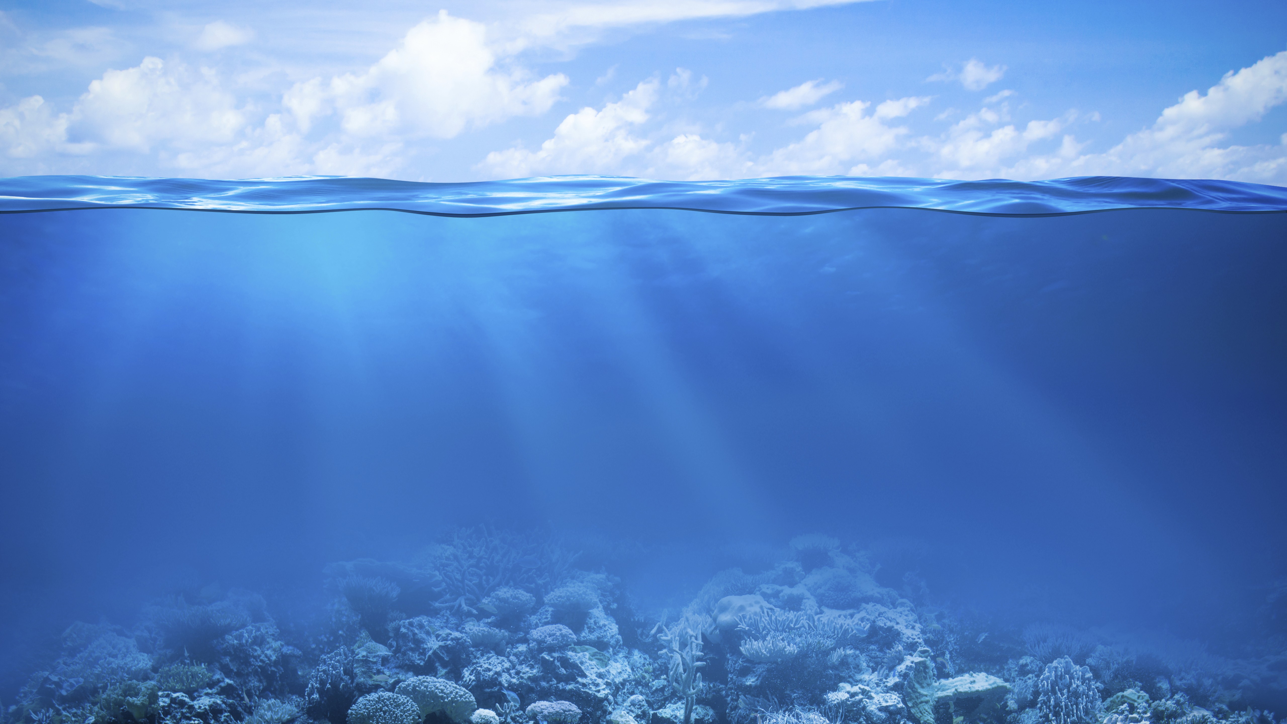 Under Sea Wallpaper Photo - Under Water Hd - HD Wallpaper 