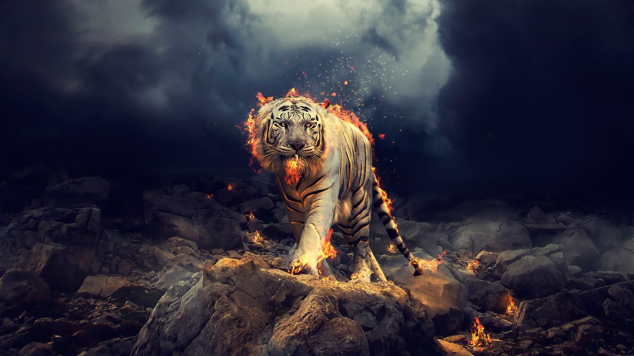 Tiger Wallpaper Hd - HD Wallpaper 