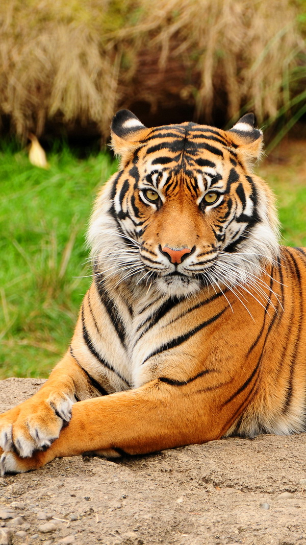 Point Defiance Zoo & Aquarium - HD Wallpaper 