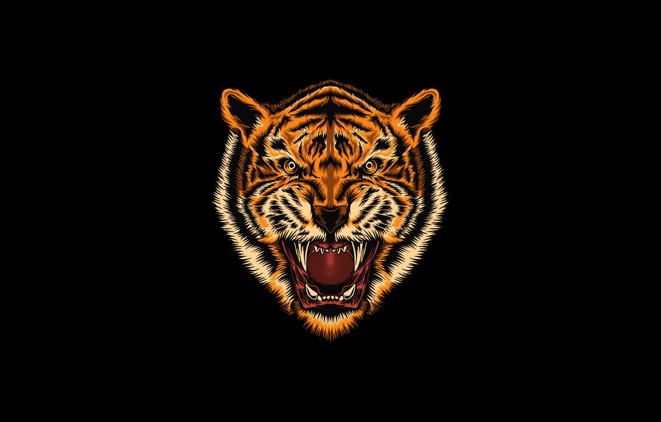 Photo Wallpaper Minimalism, Figure, Tiger, Style, Background, - Tiger - HD Wallpaper 