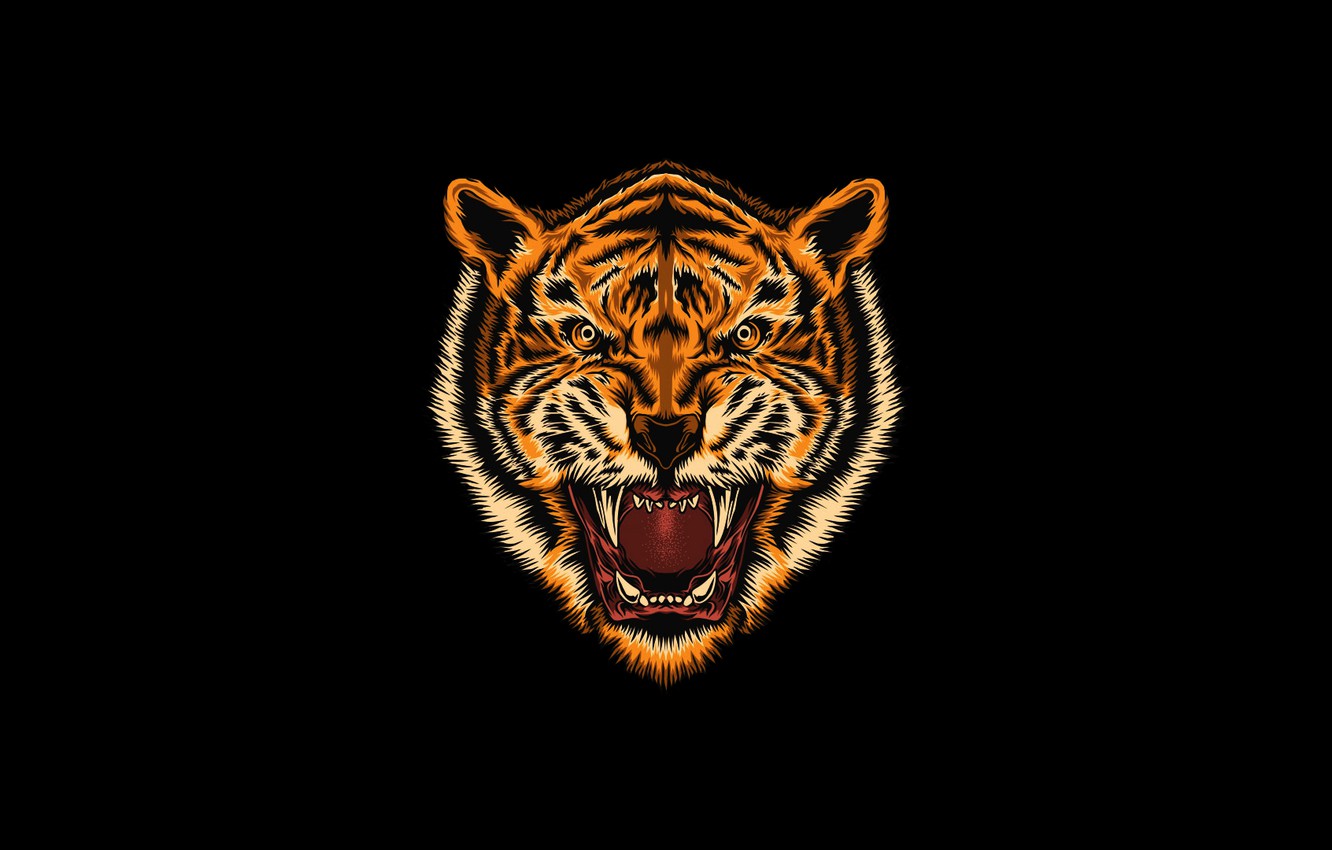 Photo Wallpaper Minimalism, Figure, Tiger, Style, Background, - Tiger - HD Wallpaper 