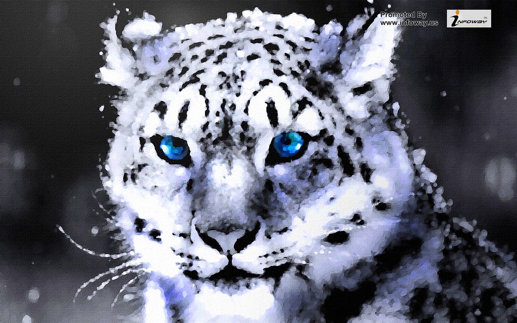 White Tiger Wallpaper 1080p - HD Wallpaper 