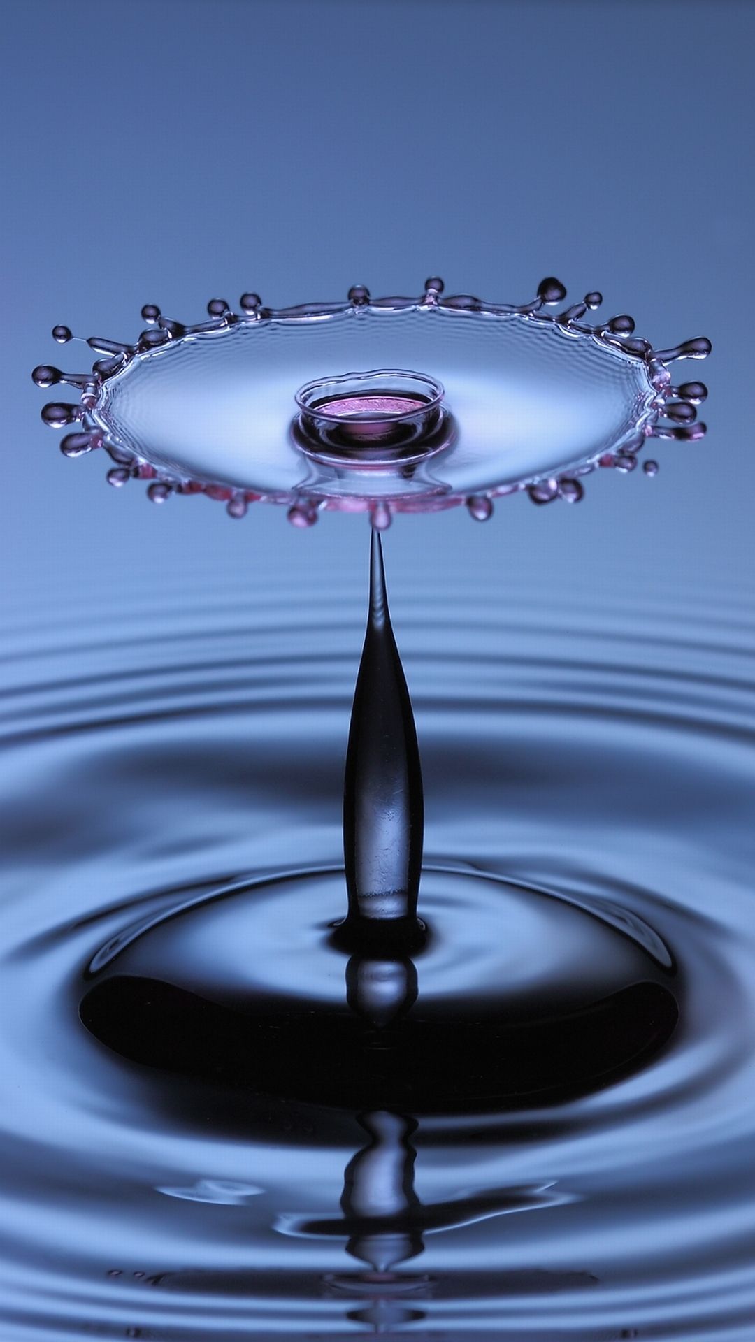Water Live Wallpaper Download Free - Water Drops On Flower - 1080x1920  Wallpaper 