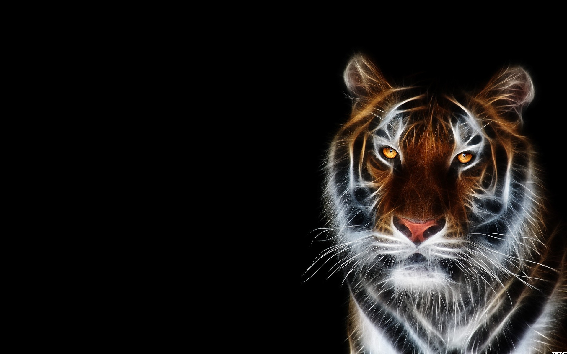 Beautiful Tiger Wallpaper - Tiger Background Image Hd - HD Wallpaper 