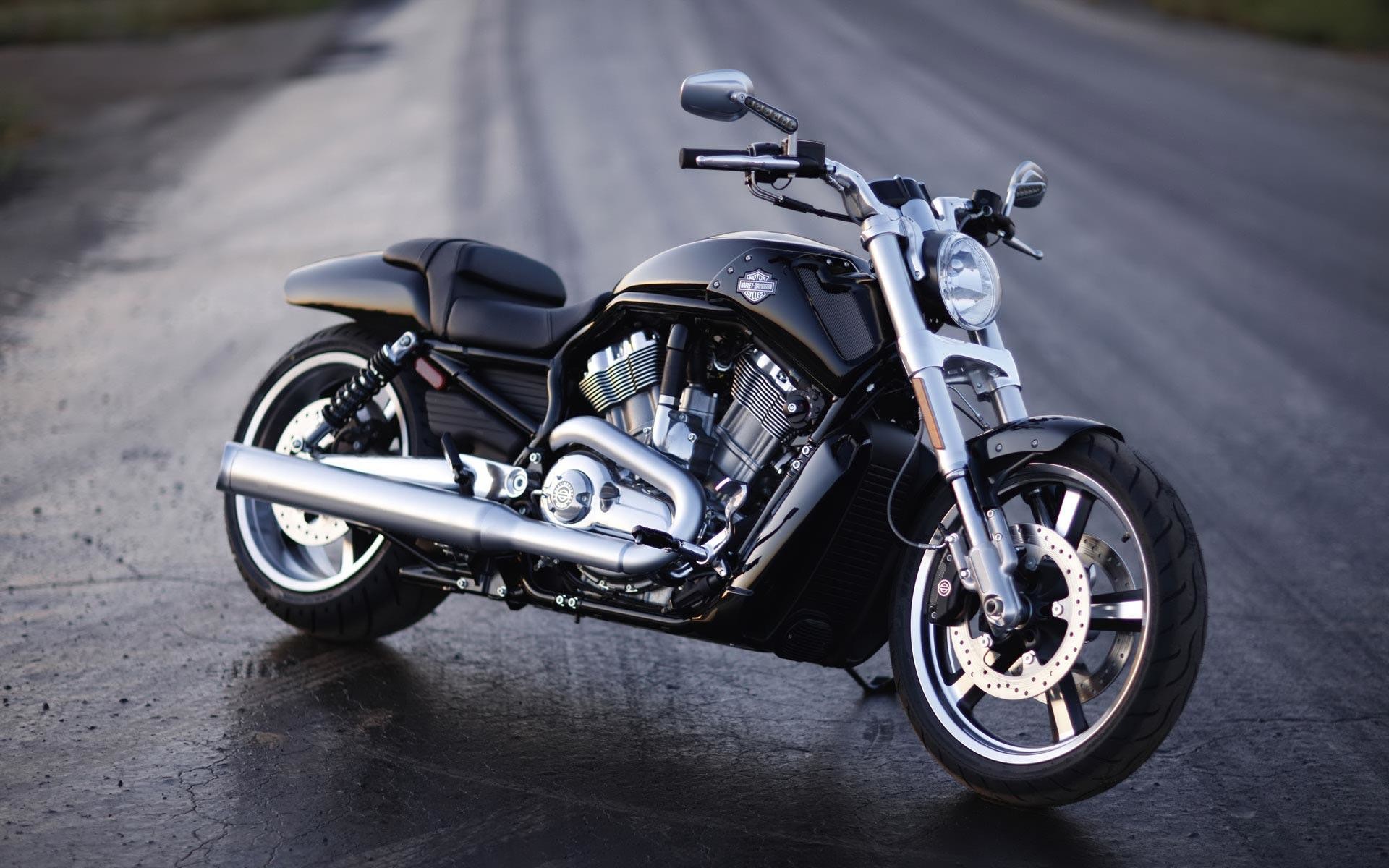 Harley Davidson Bike Hd Wallpaper And Images - Harley Davidson Wallpaper Bikes - HD Wallpaper 