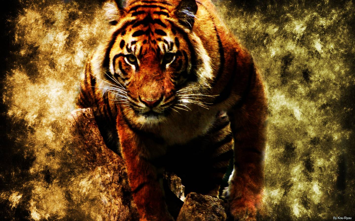 Wallpapers Tiger - Eye Of The Tiger Song - HD Wallpaper 