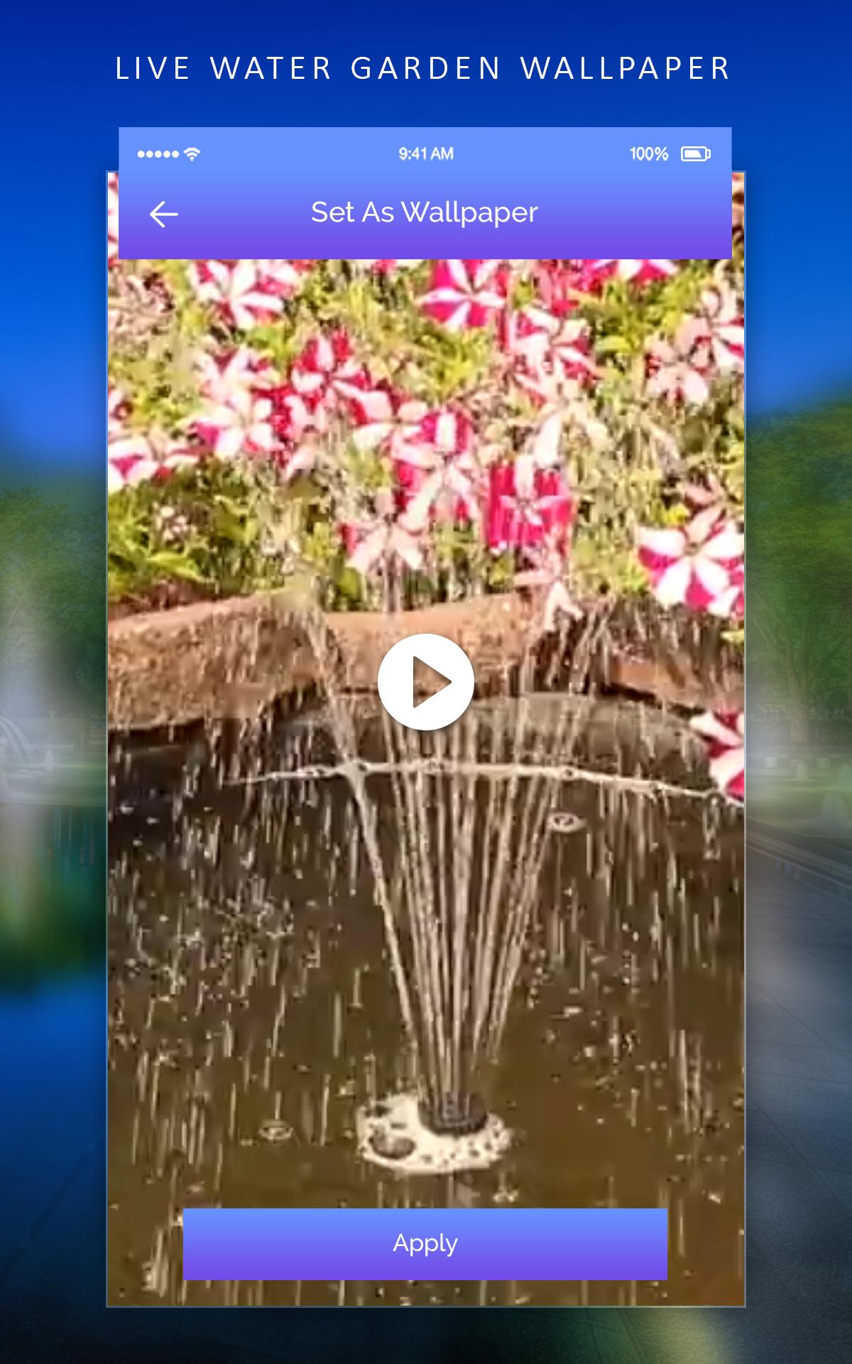 Orchids Of The Philippines - HD Wallpaper 