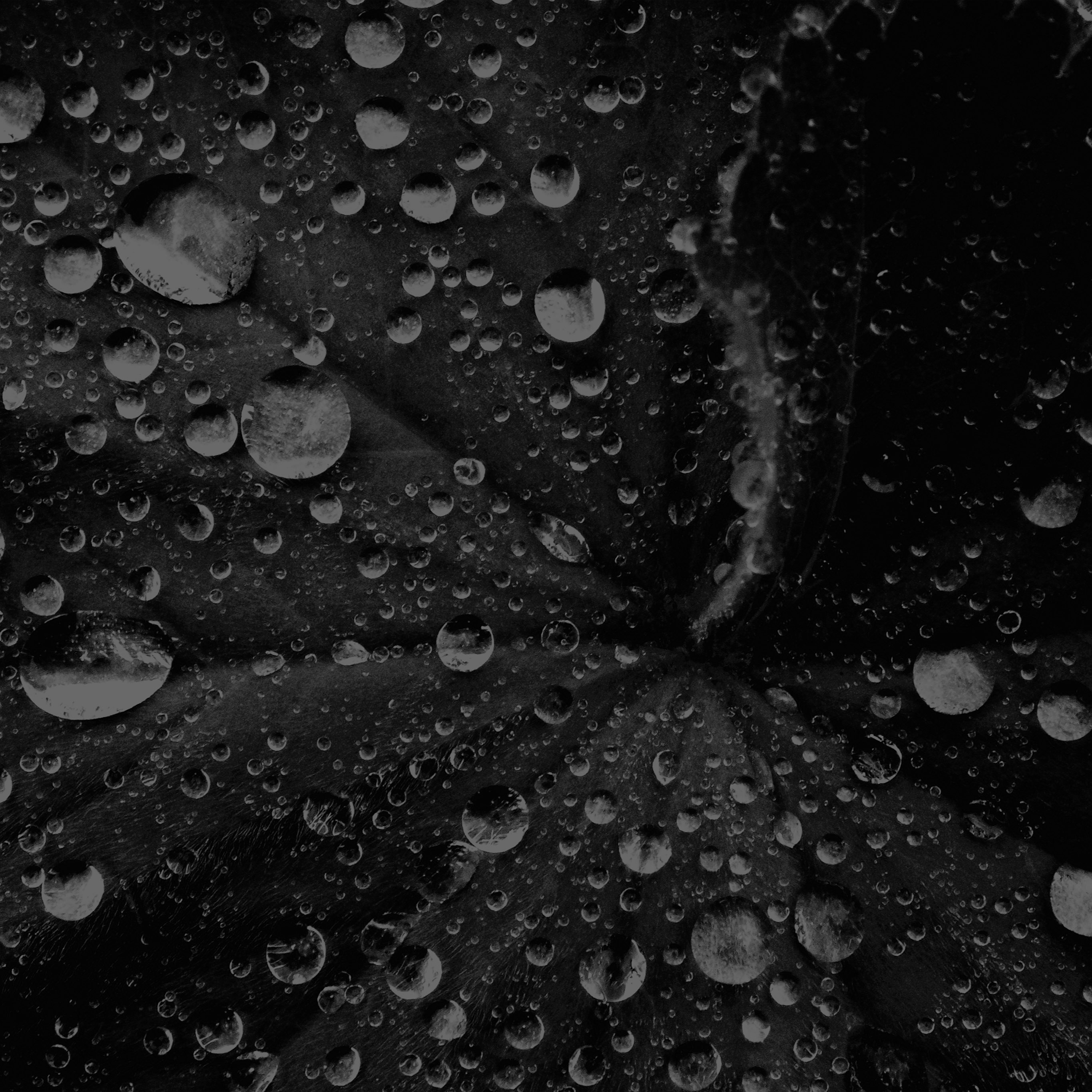 Android Live Wallpaper Dark - 2732x2732 Wallpaper Android Live Wallpaper Dark - 2732x2732 Wallpaper