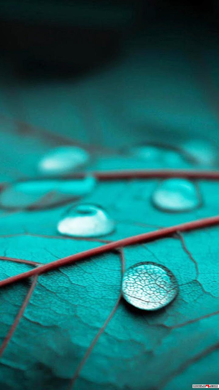 Bhi Gham Hain Zamane Mein Mohabbat Ke Siwa - HD Wallpaper 