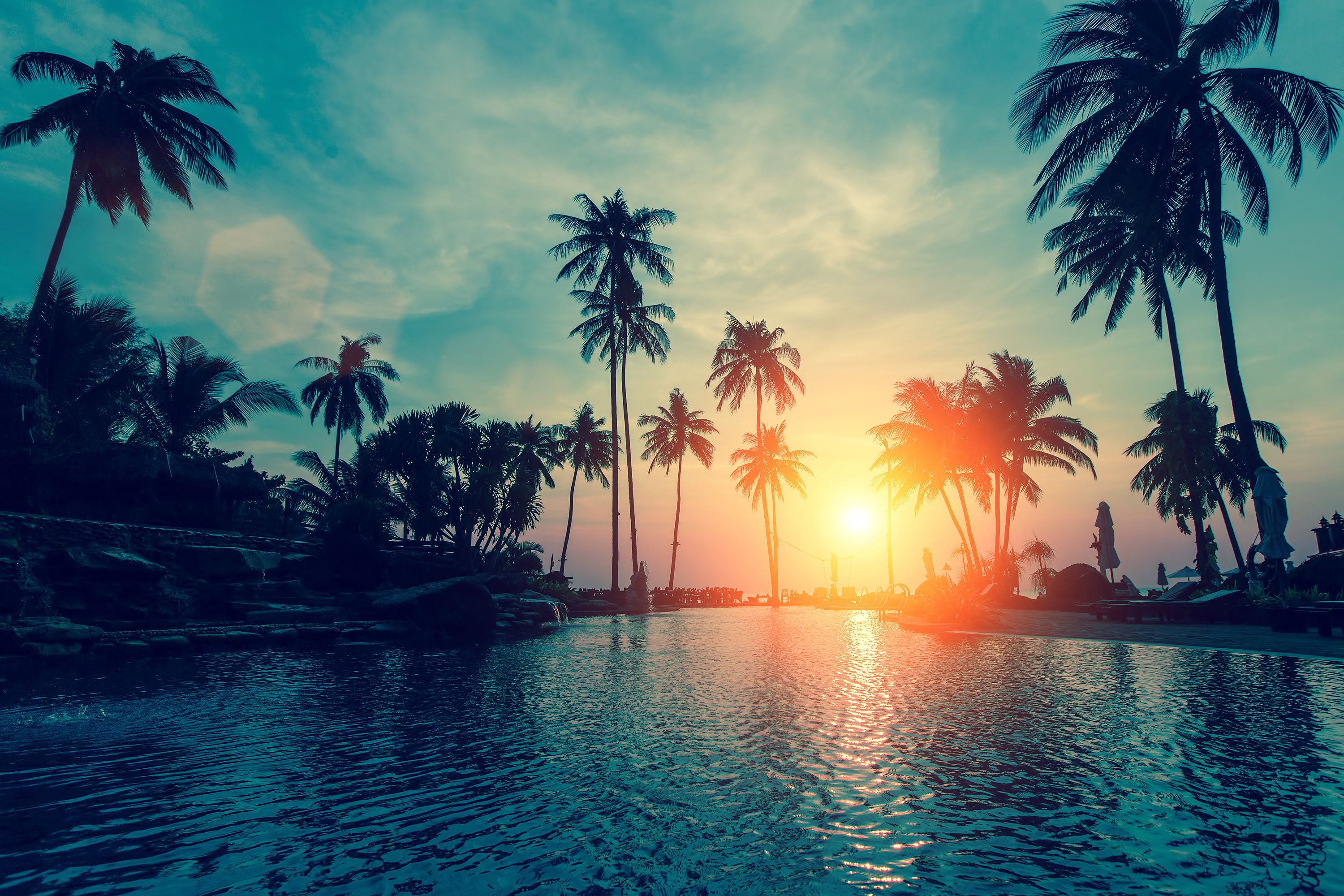 Wallpaper Sunset, Palm Trees, Tropical Beach, Hd, Nature, - Beach Sunset Palm Trees - HD Wallpaper 