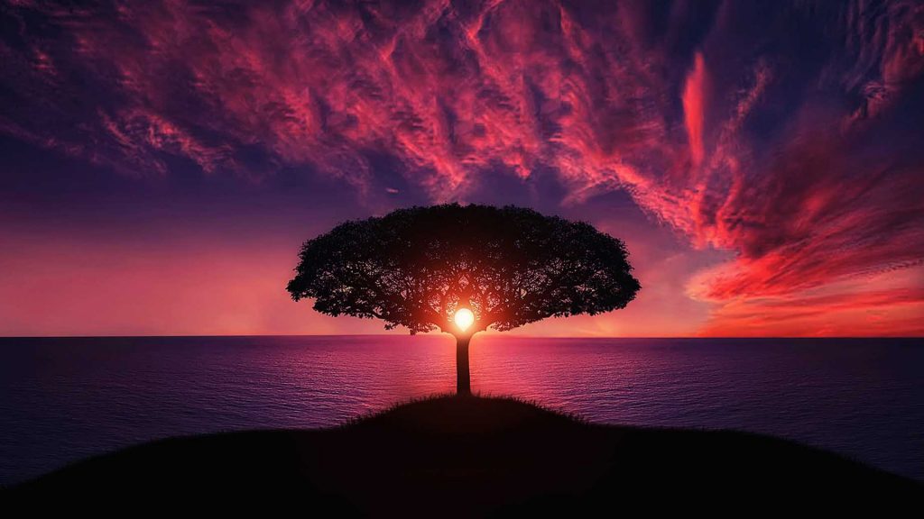 Free Sunset Wallpaper - 1920 X 1080 Sunset - HD Wallpaper 