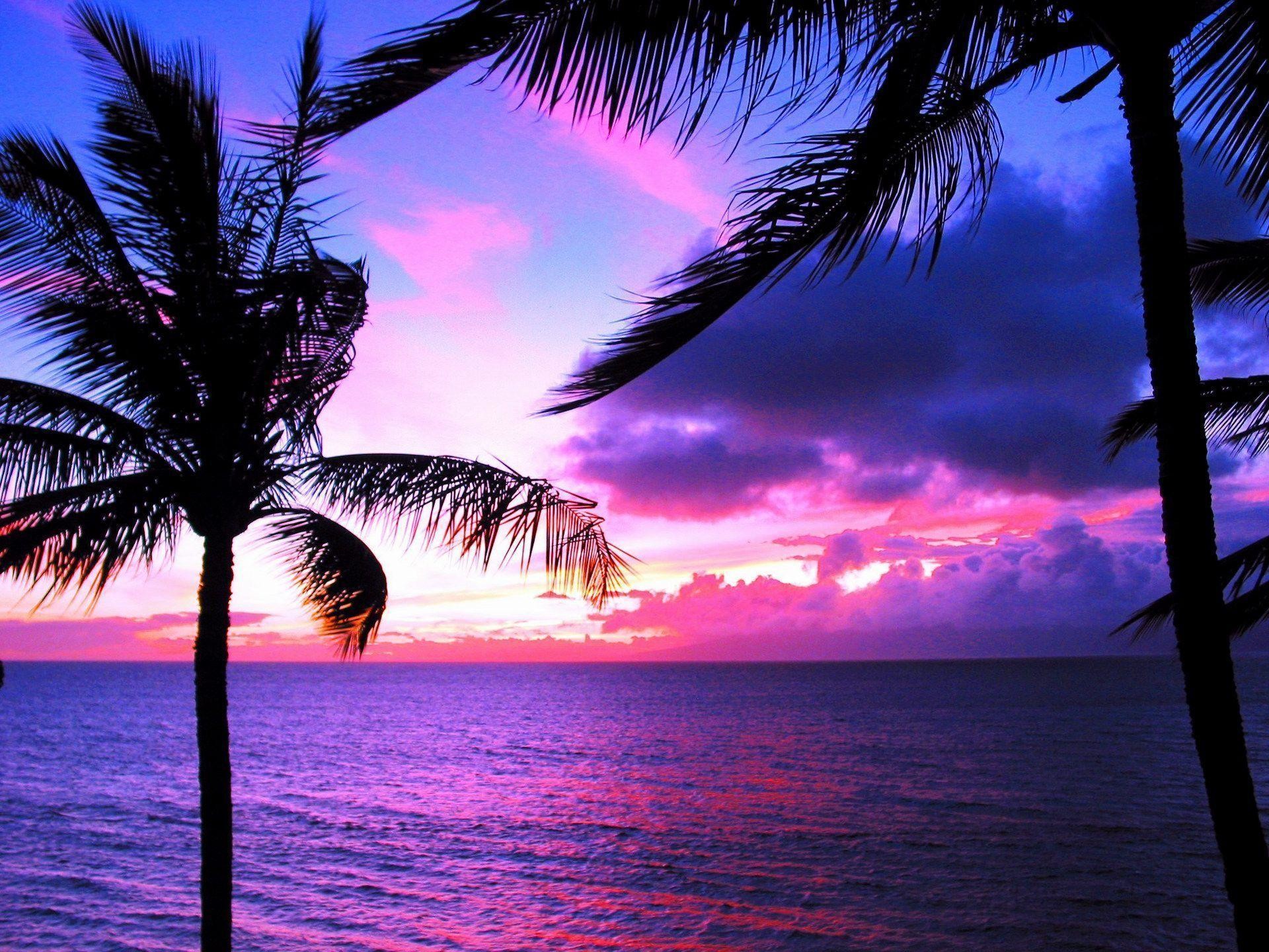 Hawaii Sunset Desktop Wallpaper 16294 Full Hd Wallpaper - Hawaii Sunset Beautiful Beach - HD Wallpaper 