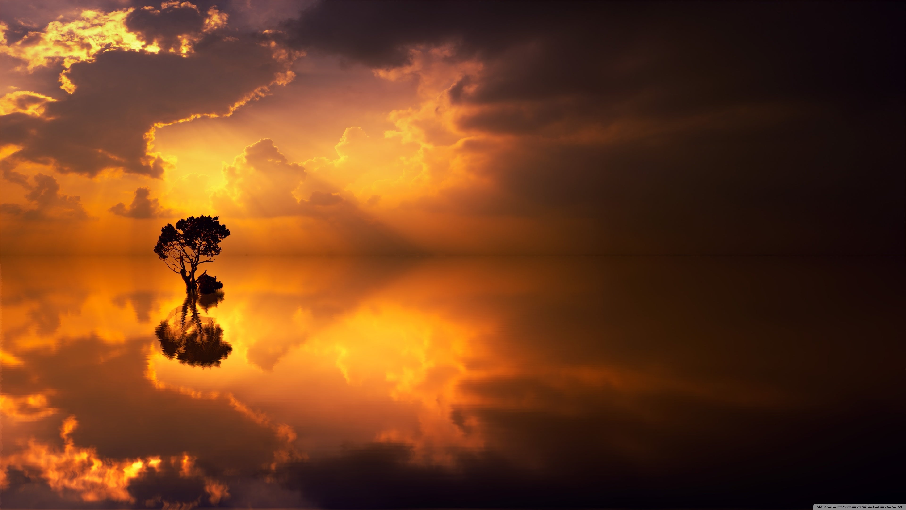 Waterscapes With Sunset Wallpaper - Lonely Tree Wallpaper For Androids - HD Wallpaper 