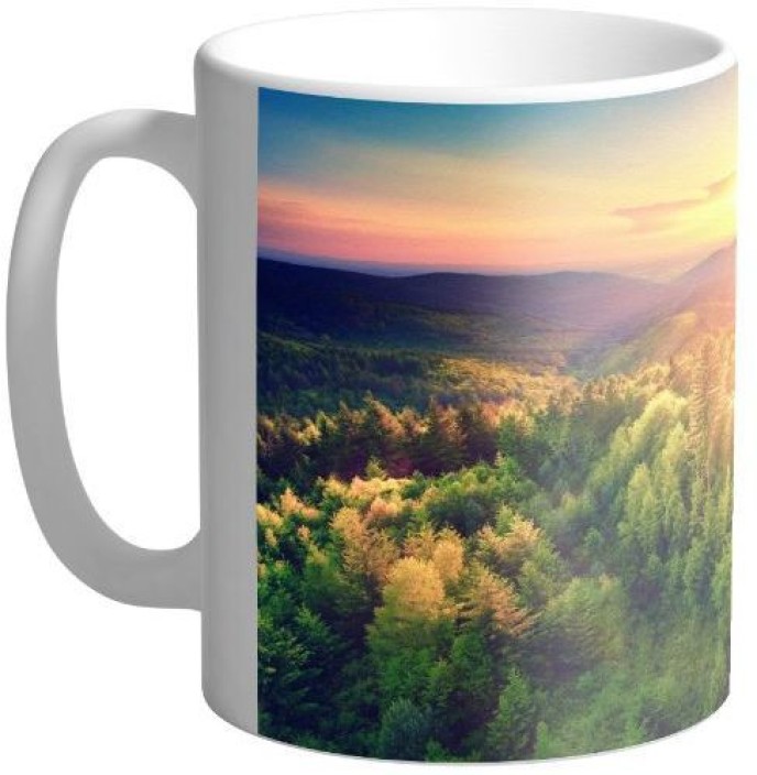 Woods Wallpaper 4k - HD Wallpaper 